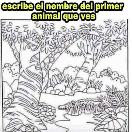 Roy Campos en Twitter: Roy Campos en Twitter: