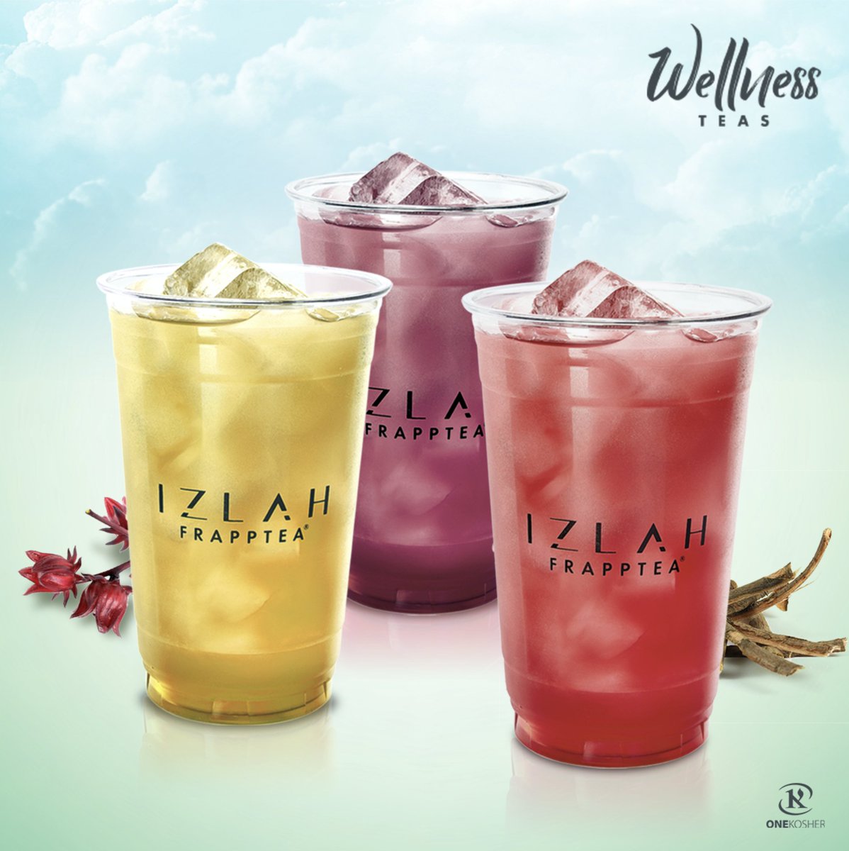 IzlahMx's tweet photo. Escoge lo que te gusta y lo que es mejor para ti con sabores deliciosos y refrescantes. ¿Cuál prefieres? #GingerVitality, #SlimTonic o #AquaVitale.

¡Visítanos! #DescubreIzlah https://t.co/M4b9RPOdXZ