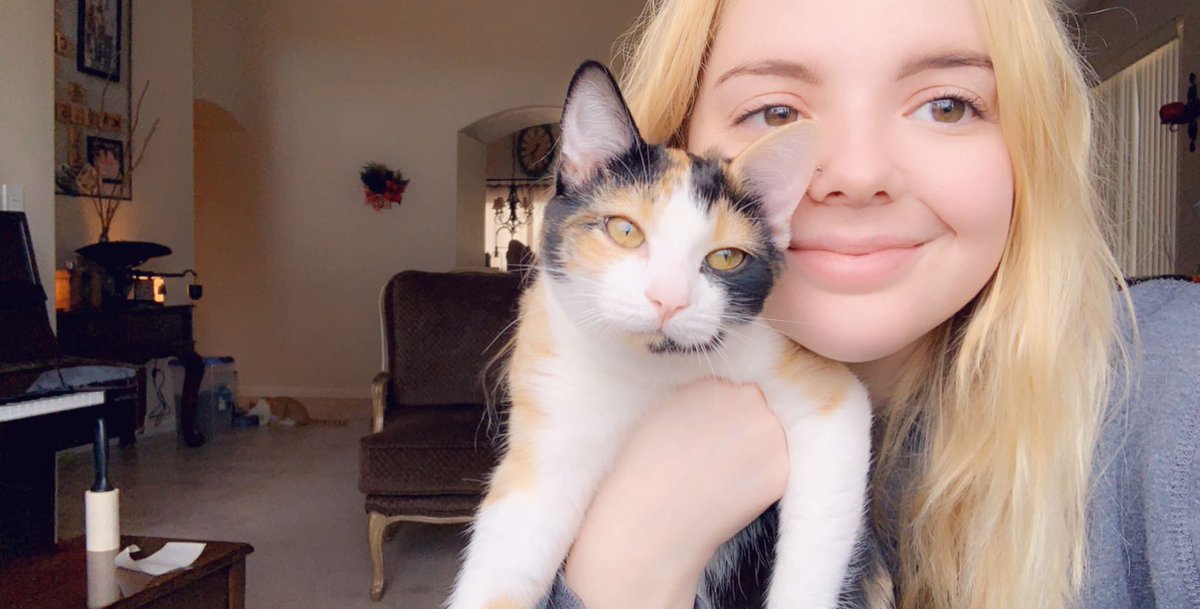 mbrooke2000's tweet photo. Can you tell they’re related 😻 https://t.co/N2kkezLHQa