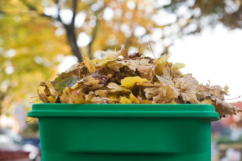 CityOfVictoria's tweet photo. Calling all gardeners! Leaf mulch will be available for self-loading starting Monday Jan 28 at the end of Nursery Rd. just outside of the Parks Composting Facility. https://t.co/2ctKYalaNu