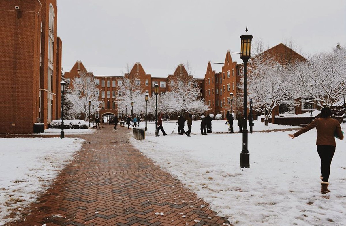 unccharlotte's tweet photo. What campus looks like in January vs. what we think it feels like in January 🤣

(2nd 📸: IG user rosevitan) https://t.co/IpmT76w36X
