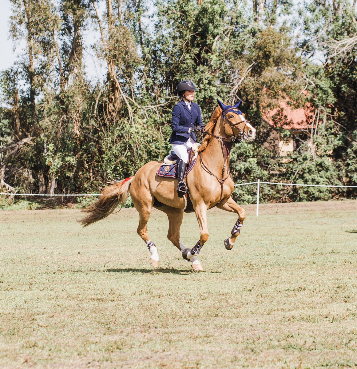 EqStylist's tweet photo. The @J_Springsteen stylin’ with a double clear round at the Ridge Showjumping Turf Tour in Wellington,FL
#thepalmbeaches #wellingtonFL #JessicaSpringsteen #TurfTour @PalmBeachesFL https://t.co/n1VVU2NmL5