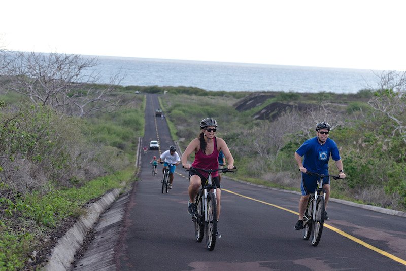 See the Galapagos from the seat of a bike! This is an especially unique way of exploring and seeing the iconic wildlife of this beautiful part of the world. Join <a href="/Galakiwi/">Galakiwi</a> on this exciting adventure:

seethewild.org/galapagos-bike…

#galapagos #biketour #cycletheworld #seethewild