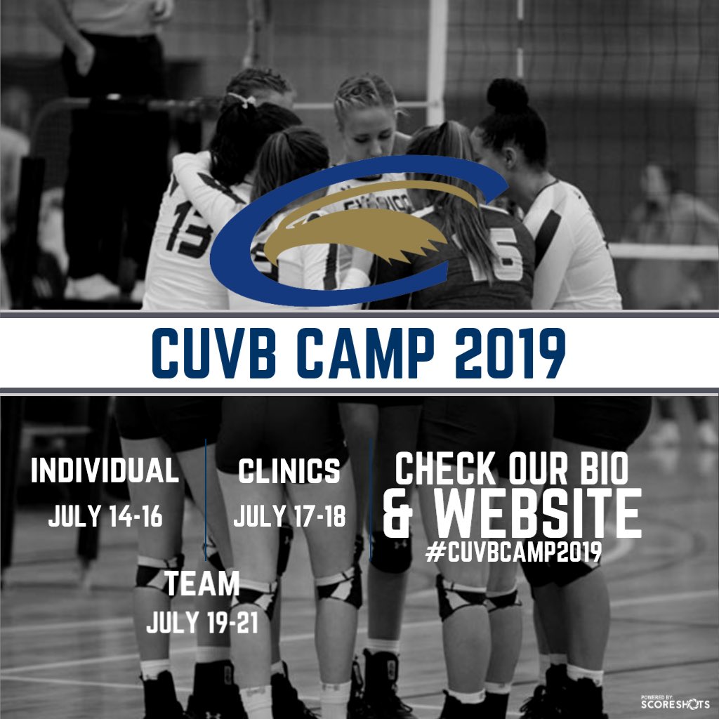 Clarion Volleyball tweet media