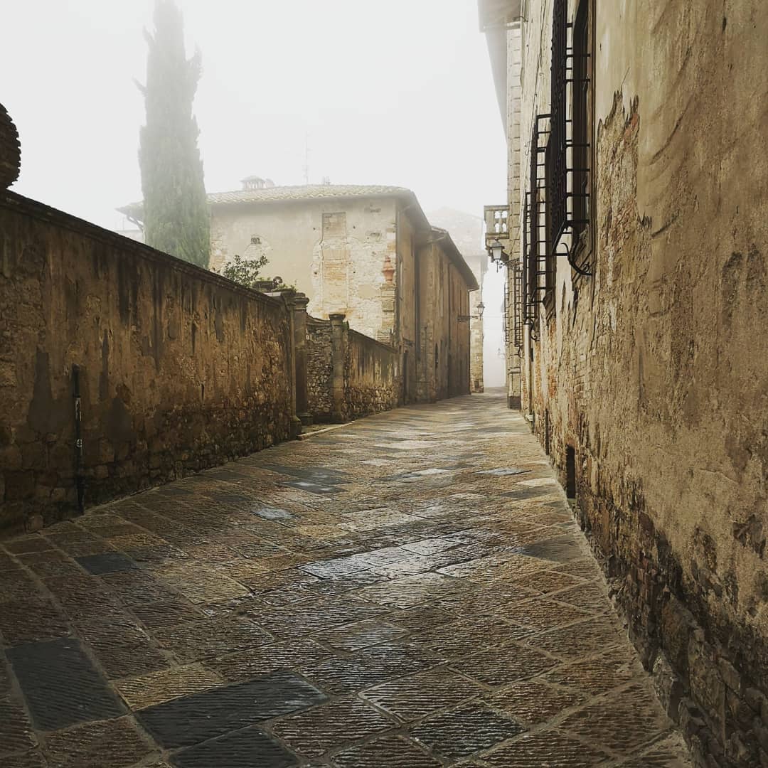 Undiscovered and misty
#CollediValdElsa #VisitCollediValdElsa #borgo #collevaldelsa #italy #italia #borghitalia #travel #tuscany #yallerstoscana