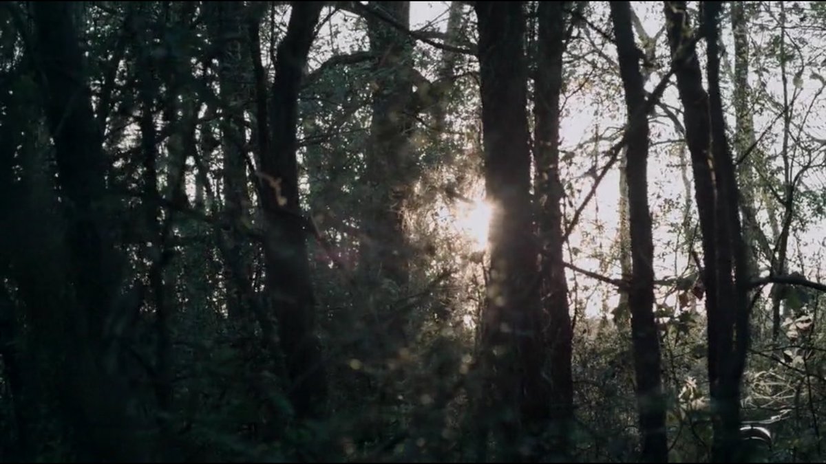 Loading05352561's tweet image. Adventures are fun🖤🌺