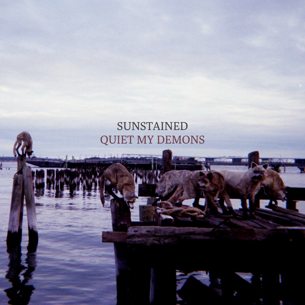 honestfacerecs's tweet photo. Hello!! We are thrilled to announce that on February 8th we'll be releasing the new @SunstainedMA LP “Quiet My Demons.”

Check out the first single titled "Ouranos" here: https://t.co/vh9RuRL4DC 

Pre-order a physical CD here: https://t.co/WK5q7EaGiA https://t.co/oS7oOoW1sF