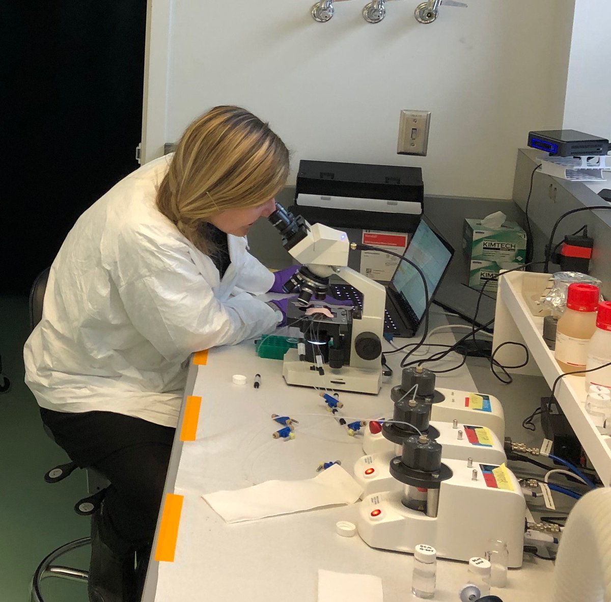 EdenTanner's tweet image. What a pleasure it has been to co-teach a very bright group of @hseas freshmen this week for BioSTAR! We cultured and stained 4T1 cells, made drug-nanoparticles using microfluidics (pictured) and did an Alamar blue viability assay. #bioengineer #STEM #nano