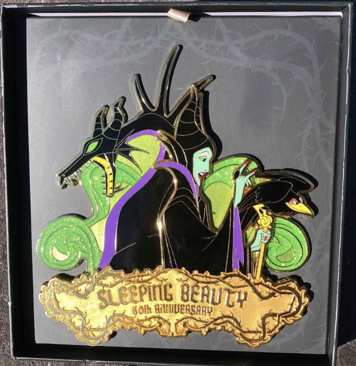 Disney Pins Blog on X: Here is a look at the Sleeping Beauty 60th