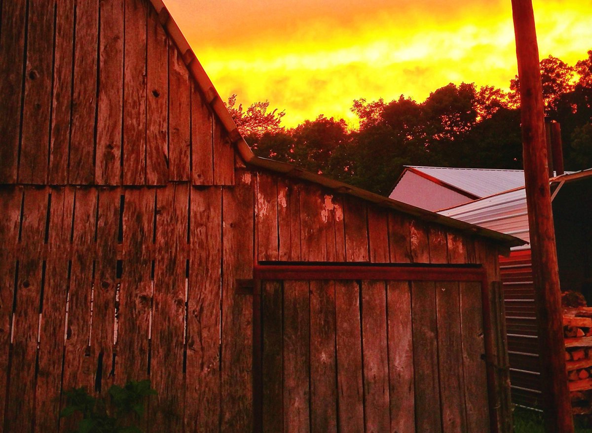commonmag's tweet photo. "Each morning through that spring and summer, my dad arrived at first light and entered the metal personnel door next to the large sliding doors that took up most of the barn’s front..." From James Alan Gill's (@jagill97)'s "The Stables."
https://t.co/svbnf7sNLU https://t.co/B161rI4Tgj