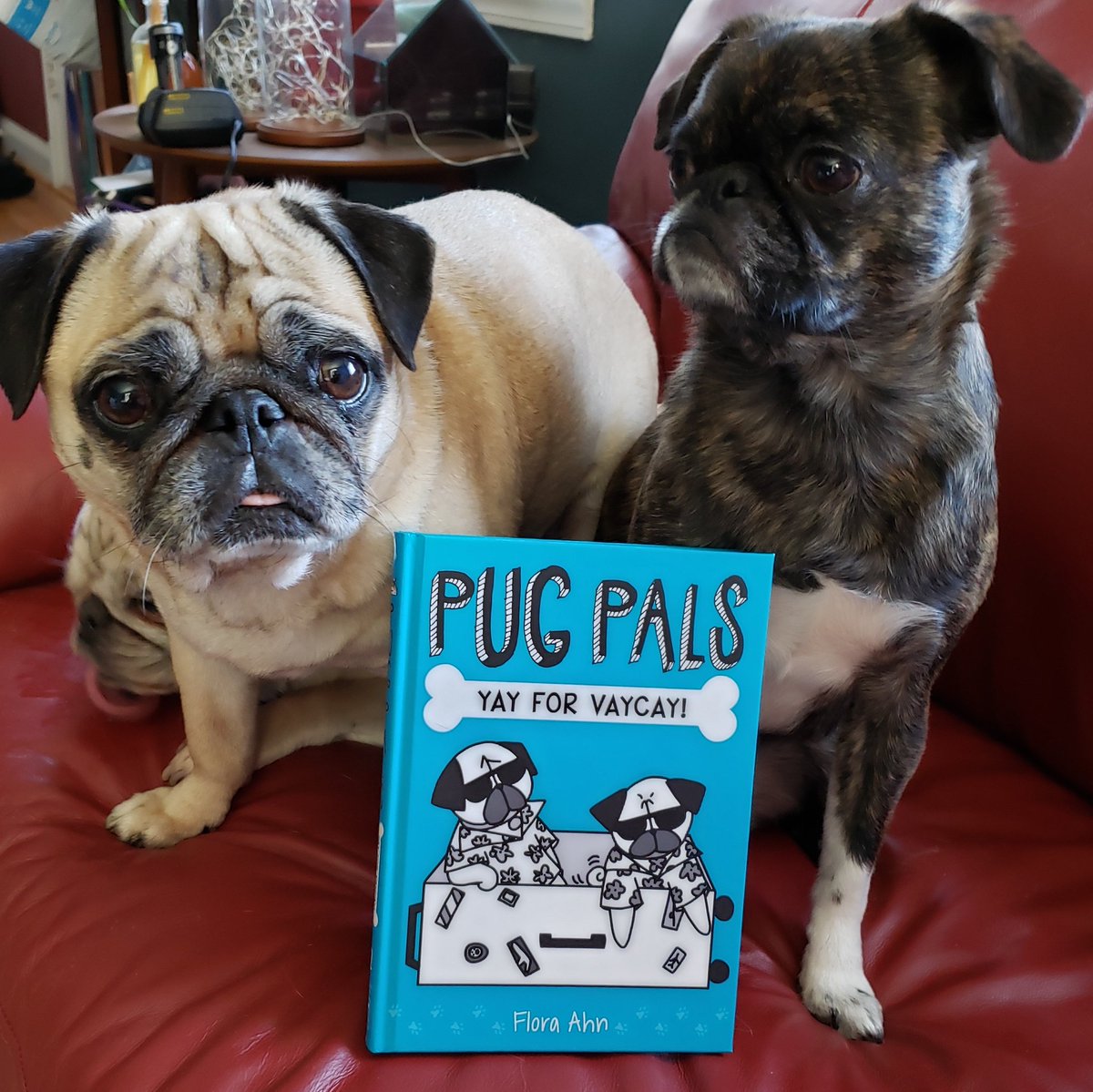 GIVEAWAY!! To win a signed copy like &amp; retweet! Giveaway ends Sun 8pm EST. I'll also be doing giveaways on Instagram, Twitter &amp; Facebook. You can enter in all 4 but can only win once. #pugpals #yayforvacay #scholasticbook #giveaway #bookgiveaway