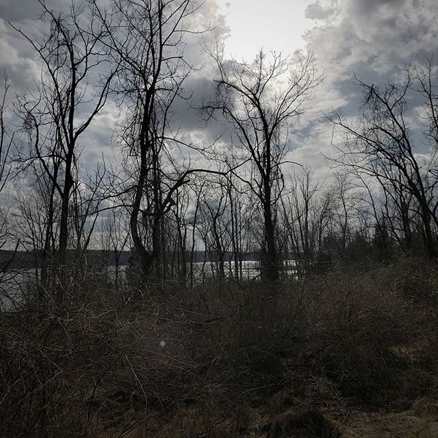 Creepy but cool.

#naturephotography #authorsofinstagram #authormichaelsutch #nockamixonstatepark #nature #geocache #instagram #picoftheday bit.ly/2G4VbC2