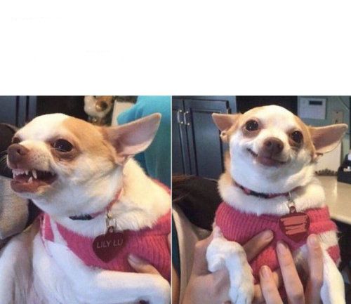 silviajulianalm's tweet image. When your code isn't working...
When it runs...
#saslearner #thesiscoding #sasusers #womeninstatistics #EpiTwitter