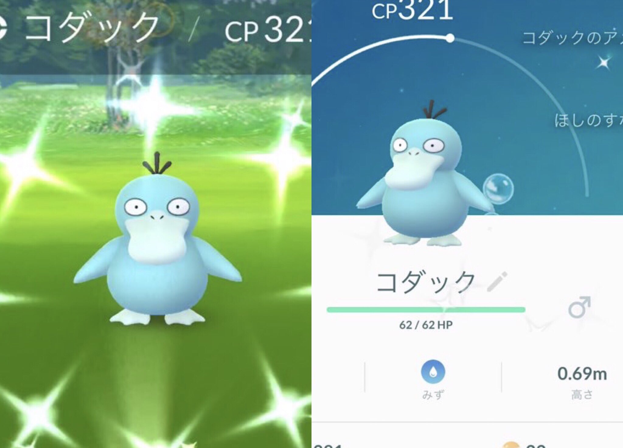 色違いコダック Twitter Search Twitter