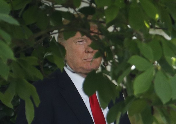 BlueLineFilms's tweet photo. Donald Trump Announces 3-Week Government Reopen, Threatens New Shutdown If Border Wall Not Funded https://t.co/0bX7wB5iWo https://t.co/Ilx2DawljC