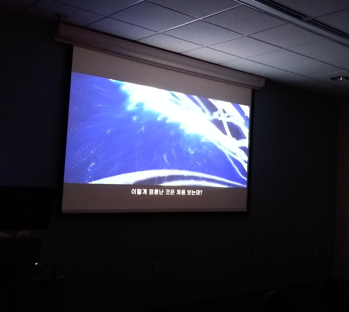 soltislab's tweet photo. #TreeTender movie translated into #Korean by @amborella premiered today! Also goodbye party for Sangtae, who leaves the lab after a year visit sequencing #genomes. https://t.co/ngAh95MXEk https://t.co/yun1Tmyvds