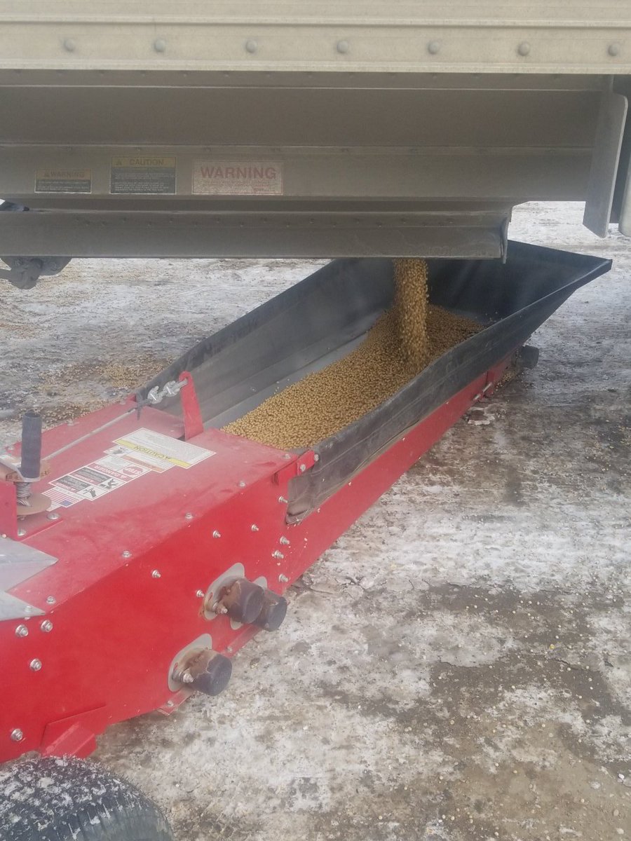 ConnorLSeaman's tweet photo. Unloading some Alliegant 11X50N soybeans today, this is a great maturity group for the geography I cover. I'm very excited to see how this variety performs in NC Sodak in 2019! #AllegiantSeed https://t.co/9Vb6hYrEIA