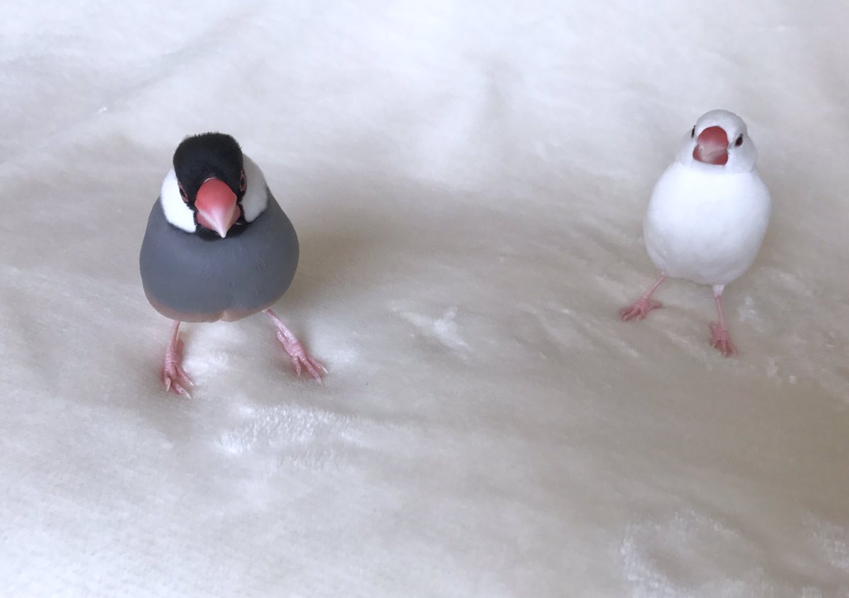 おそろいで迎えに来ていた