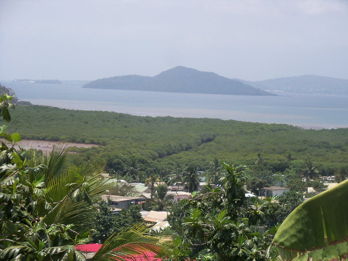 nguidzo's tweet image. je vie