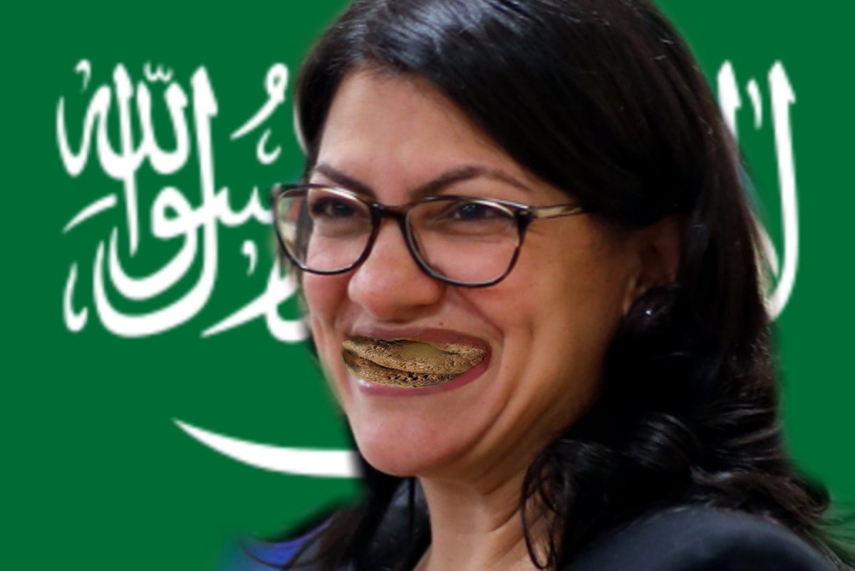 Rashida Tlaib once complained sister was on no-fly list