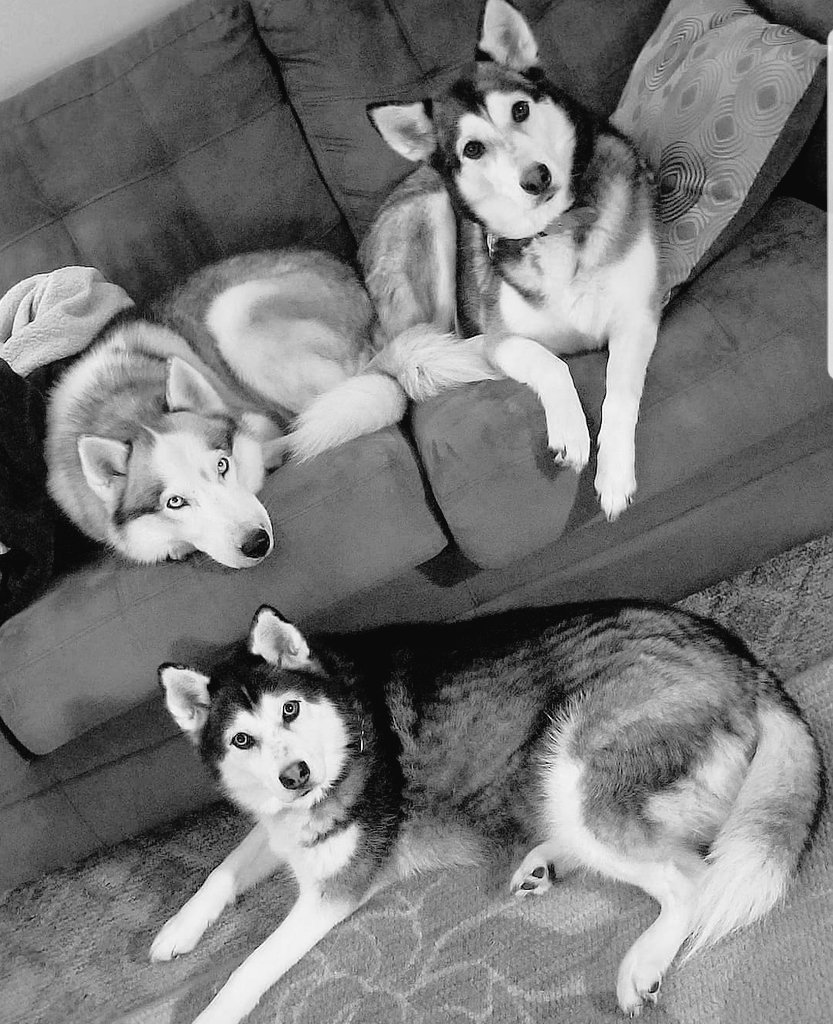mhfolger's tweet photo. My kids ❤❤❤ https://t.co/9N4i2cS5b8