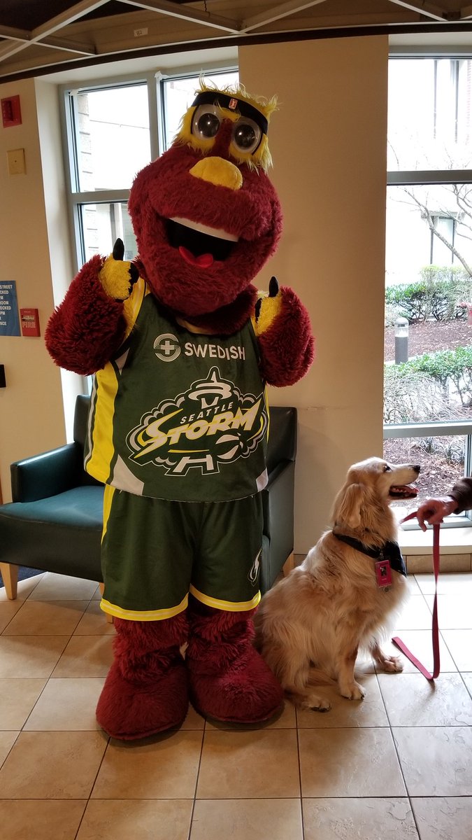 I MET A DOG!! 

TODAY WAS A GOOD DAY! 

@Swedish #DopplerWellnessTour