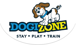 DogiZone's tweet image. Catch up on our blogs here!  buff.ly/2R0HtmI
#blogs #dogblogger #dogswithblogs