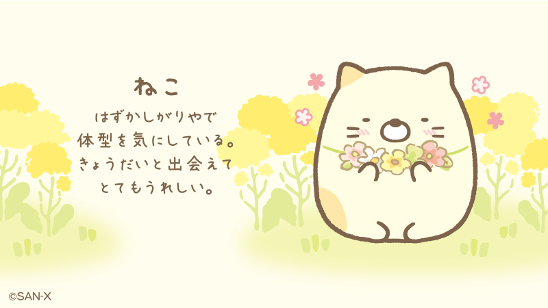 すみっコぐらし 公式 No Twitter ねこのきょうだいにであいました ねこ ねこ３きょうだいの1匹 はずかしがりやで体型を気にしている きょうだいと出会えてとてもうれしい