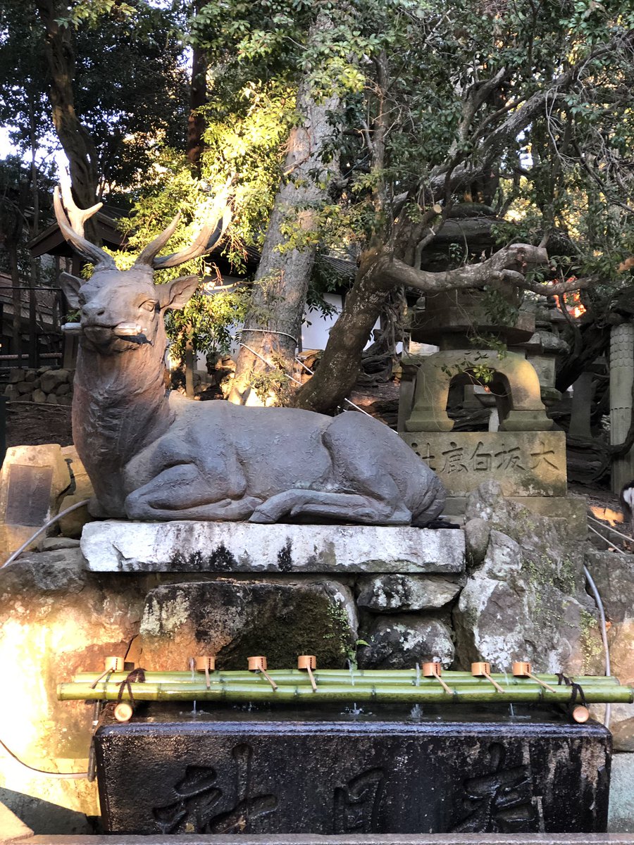 nocca_a's tweet image. 引っ越してからやっと
鹿さんたちに会いに🦌
車降りたらふつうに鹿だらけで
テンションあがってた娘 ♡
#奈良 #奈良公園 #鹿 #春日大社