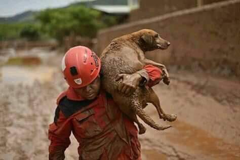 gusttavolac's tweet photo. Se as dores do teu irmão não lhe causam dor, quem precisa de ajuda é você !!! https://t.co/k2xflm2Lwe