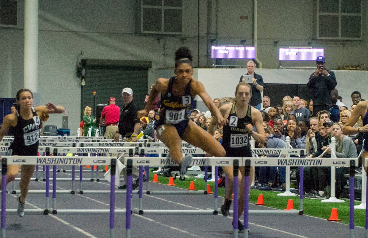 Cal XC/Track & Field tweet media