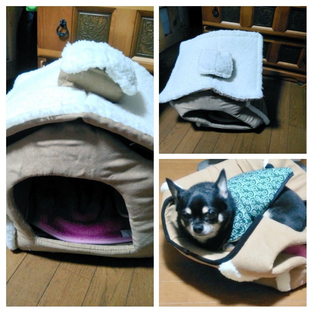 はかいしん