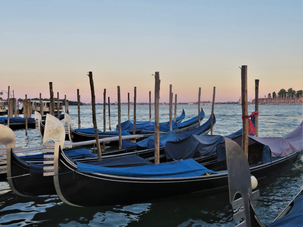 **Weekly Feature: #Venice, #Italy**

Gondolas resting in the Venetian sunset.

#travelphotography #wanderlust #wanderer #Venezia #Italia #StMarksSquare #traveller #cityscapes #ILikeItaly @Italy_Global #Italianlandscapes @tourism_europe  @visitEurope #EuropeanBestDestinations