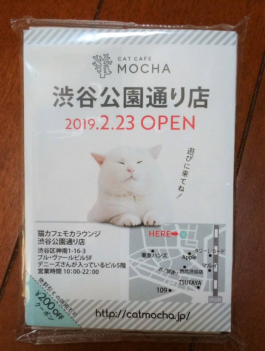 猫カフェmochaの運営会社看板変更と新体制について 2ページ目 Togetter