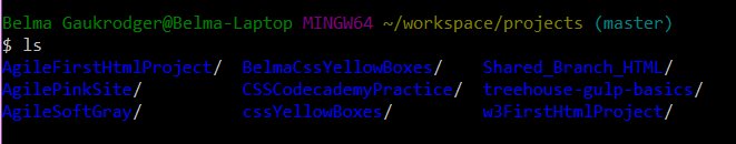 AgileBelma's tweet image. R3D6 - Part 2 The day is young and I&apos;m still coding! Earned my badge on Welcome to Gulp (and I have no idea what Gulp.js does yet!) And my workspace is getting rather crowded ;-) #iLoveCoding  #100DaysOfCode