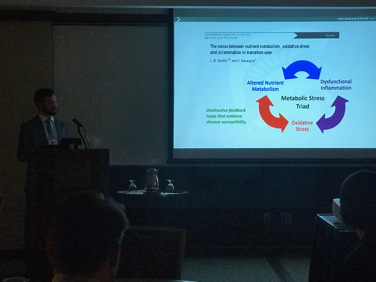 LabMeadow's tweet image. @MattKuhnDVM from our lab gave an excellent presentation on how oxidative stress is likely a major contributor to fresh  cow diseases and how isoprostanes might be used to find cows at risk! #MVC2019