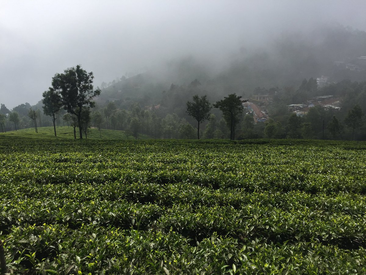 _karthikp_'s tweet image. #ShotOniPhone