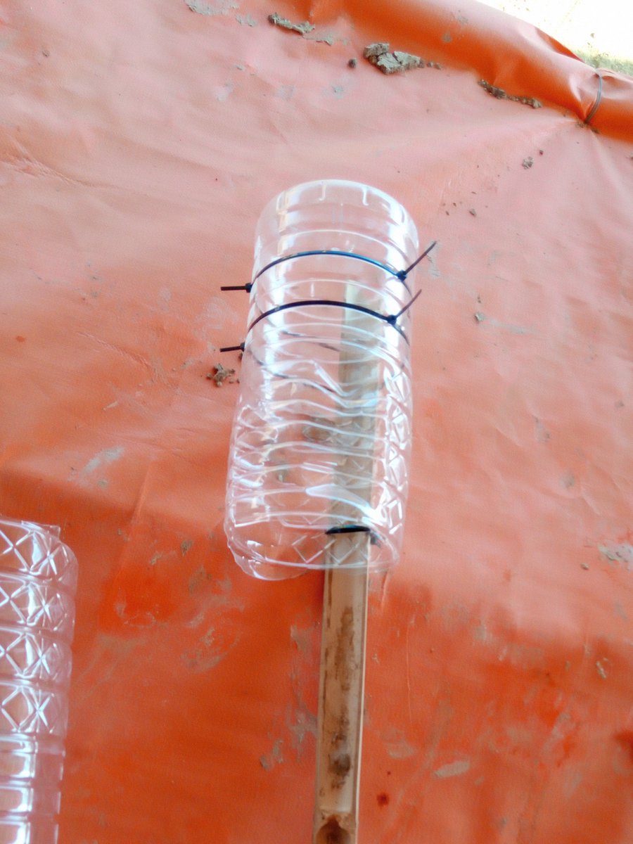 DRKvorOrt's tweet image. #Sampling is one of the crucial points in our work at the #fieldlab thats why we went out to train people on site on sampling methods. We had a lot of fun and produced our second batch of samples. #Labmethods
#Training #IFRC #Poop #Bangladesh
@MayersGennike
@BDRCS1 @Federation