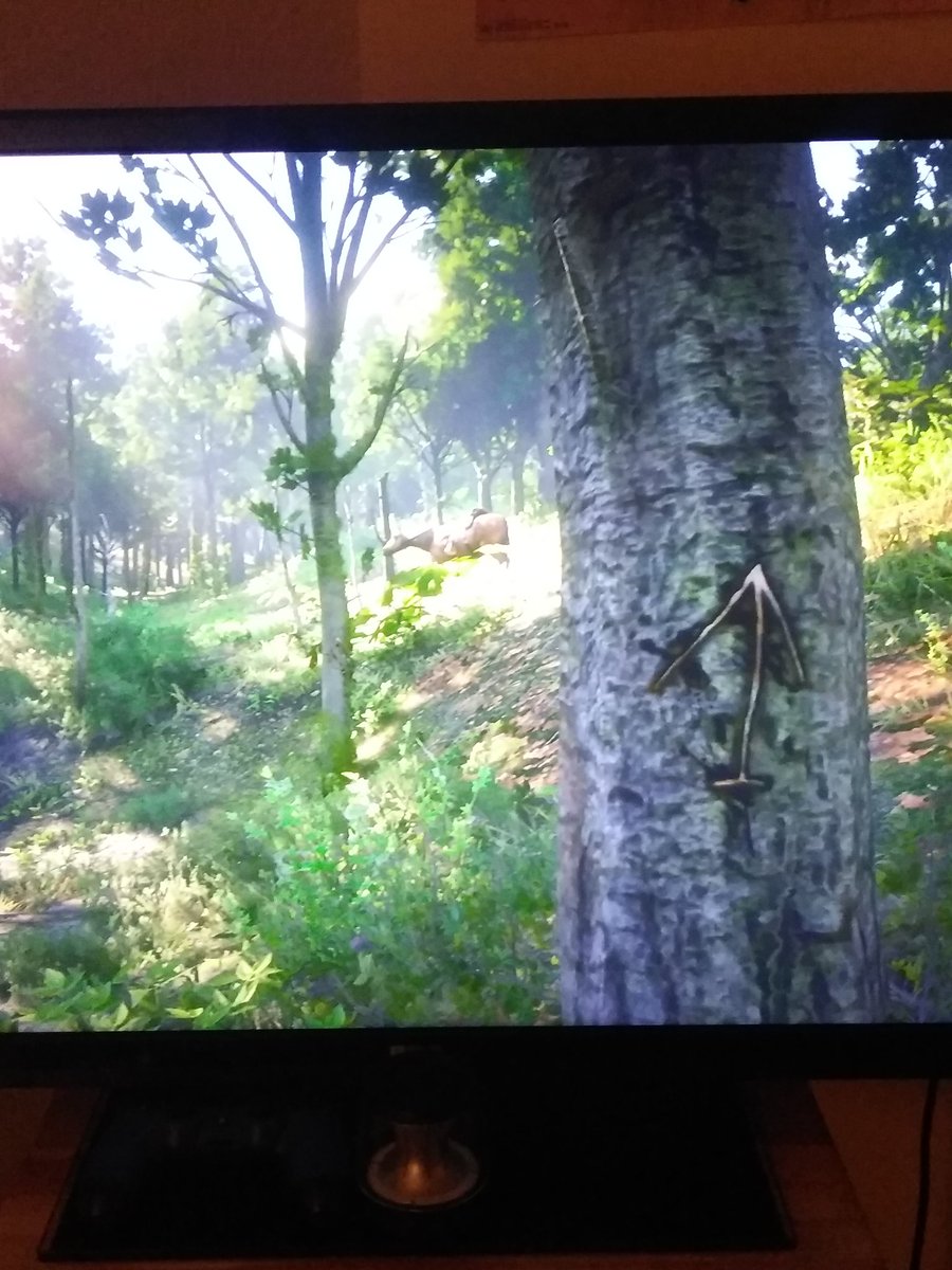 SfMikey's tweet photo. @TrippyComms ,both trees have the same marking on them, the one in the front and the one behind it as shown in here, area:Literally in the G of Roanoke Ridge https://t.co/dw3SCg6oND