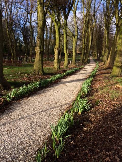 FriendsofFOPCC's tweet image. The first of the daffodils are open!  We have been clearing the path and topping up some of the graves which had sunk with the soil.  We have a few projects underway if anyone would like to help out.  A lovely day today but a bit windy.