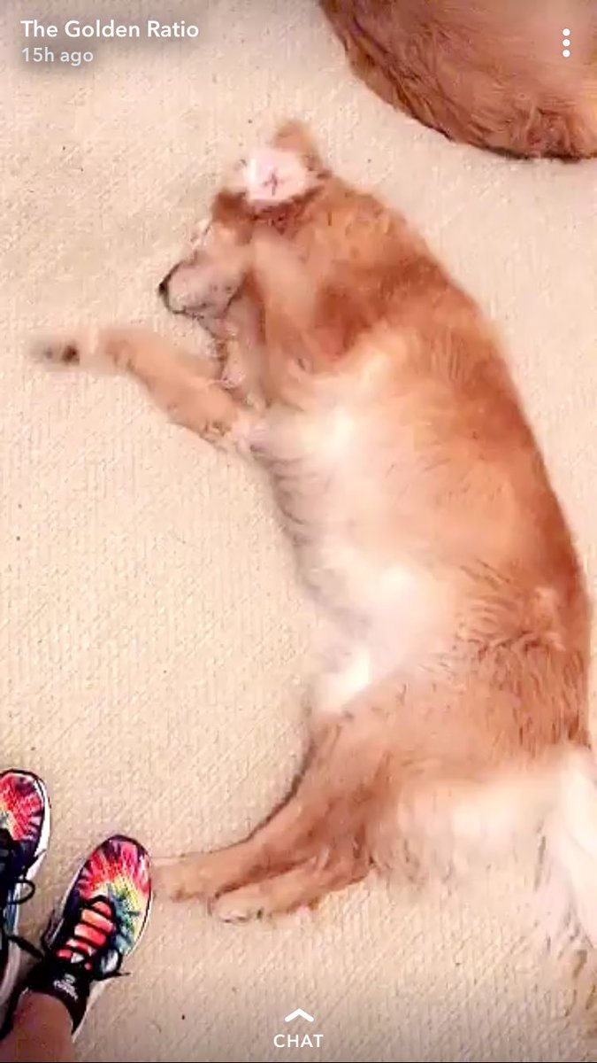 I need your shoes in the snaps @jenrunswithdogs ! What brand are they???