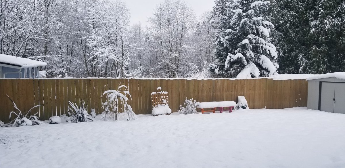 cortesjc1's tweet photo. It's a winter wonderland in Lake Stevens today. https://t.co/VujBFVbFfk