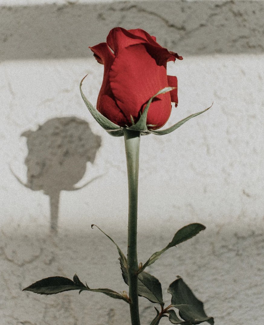 What are your big plans for Valentine's Day?  😍 Make it a special one.  Give a loved one a call.  Open the door for someone.  Write a handwritten note! Make the day of love a beautiful day!
#livechicago #valentinesday