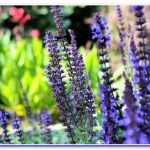 towerham's tweet image. Are You At Risk Of Vitamin Deficiency? Find Out!

We have been told repeatedly that wholesome diet is absolutely essential for our optimum health and overall well bein ..

ultimatesuperfoods.org/are-you-at-ris…