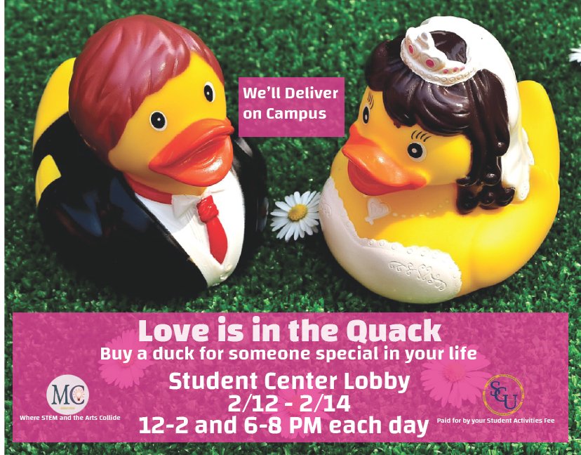 MakerPoly's tweet photo. What are these Love Ducks up to? Looking to be given to someone YOU love of course!  Check out our fundraiser at @SUNYPolyInst  2/12 - 2/14 ,  12-2 and 6-8 PM each day in the campus center lobby. https://t.co/K9kJ3q15cL