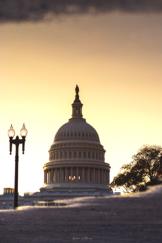 “Through the Looking Glass” Given the week we’ve had in D.C. and Virginia, I pledge to be better. Will you?
#exposeddc #usaprimeshot #fstoppers #snapdc #dctography #acreativedc #dc_eyes #natgeoyourshot #natgeo #dcchasers #igdc #moodygrams