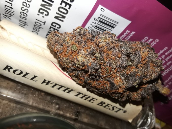 Time for breakfast! #WakeNBake #bbw #bbwmodel #porn #pornhub #eatme https://t.co/zcNlK9ERYw<a href="/tag/wakenbake"class="tags">#WakeNBake</a><a href="/tag/bbw"class="tags">#bbw</a><a href="/tag/bbwmodel"class="tags">#bbwmodel</a><a href="/tag/porn"class="tags"><span>#porn</span></a><a href="/tag/pornhub"class="tags"><span>#pornhub</span></a><a href="/tag/eatme"class="tags"><span>#eatme</span></a>