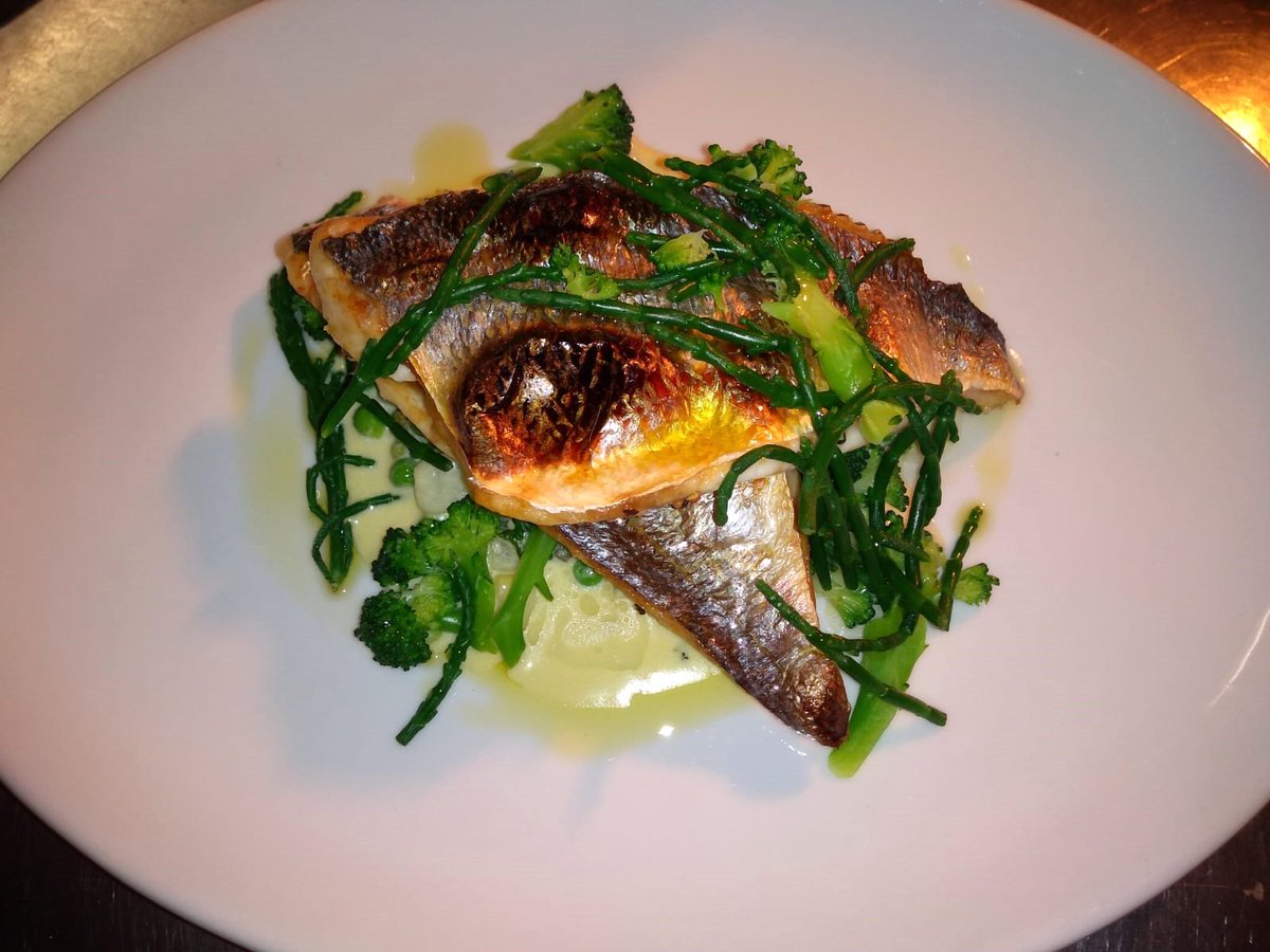 Sneak preview of 2 dishes off tonight's new menu.  Chicken Caesar croquettes &amp; Grilled Bream.  Open this weekend Saturday &amp; Sunday 18:00 - 22:30.  Book online at hookedrestaurant.co.uk   #Alnmouth #Northumberland <a href="/NEFollowers/">#NEFollowers</a>
