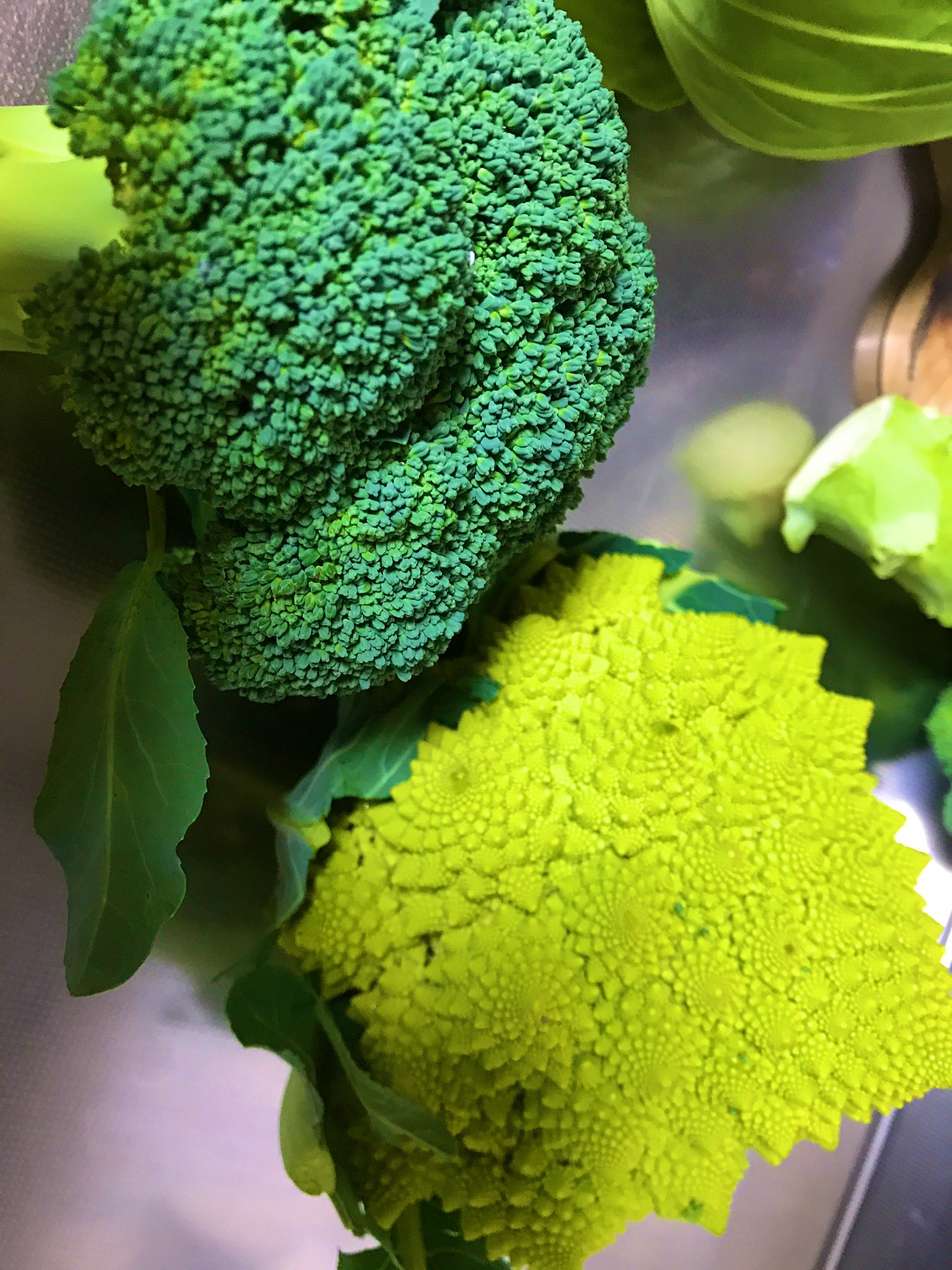 せく V Twitter ブロッコリーはわかるけどとなりのイボイボなんや T Co Xqtyensulb Twitter