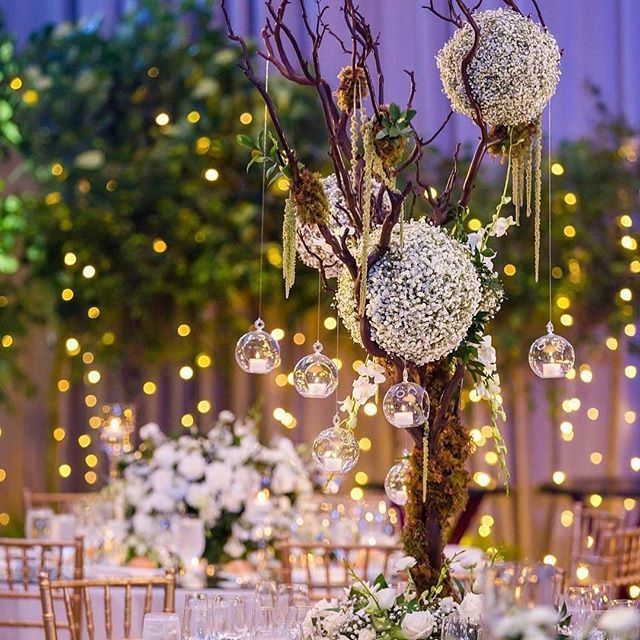 EVoga Events tweet media